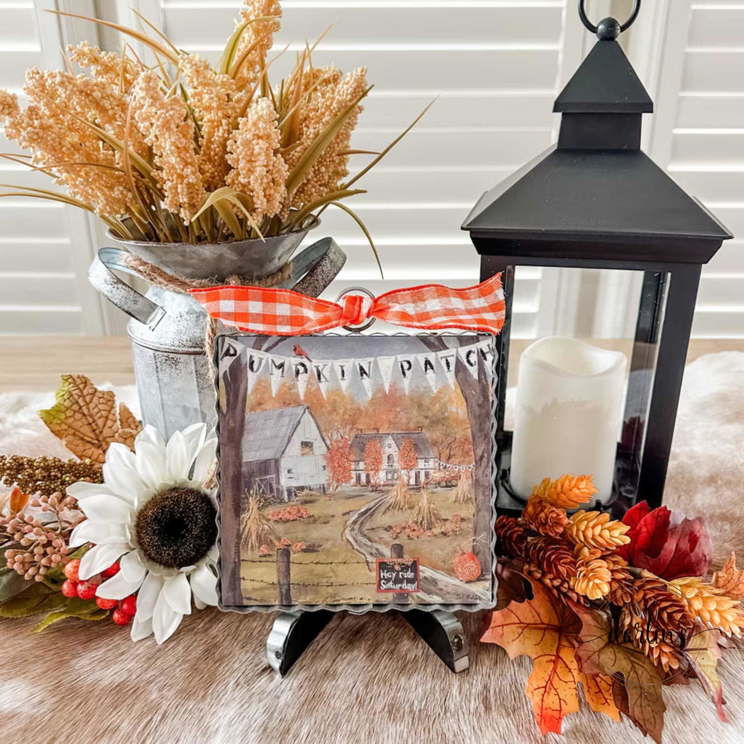 Mini Gallery Pumpkin Patch